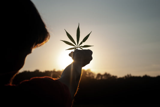 Was genau ist CBD und wie wirkt es?